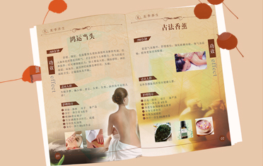 美季养生画册设计
