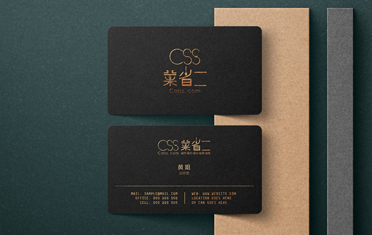 菜省省Logo设计